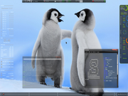 XFWM Slackware rec&eacute;m instalado!